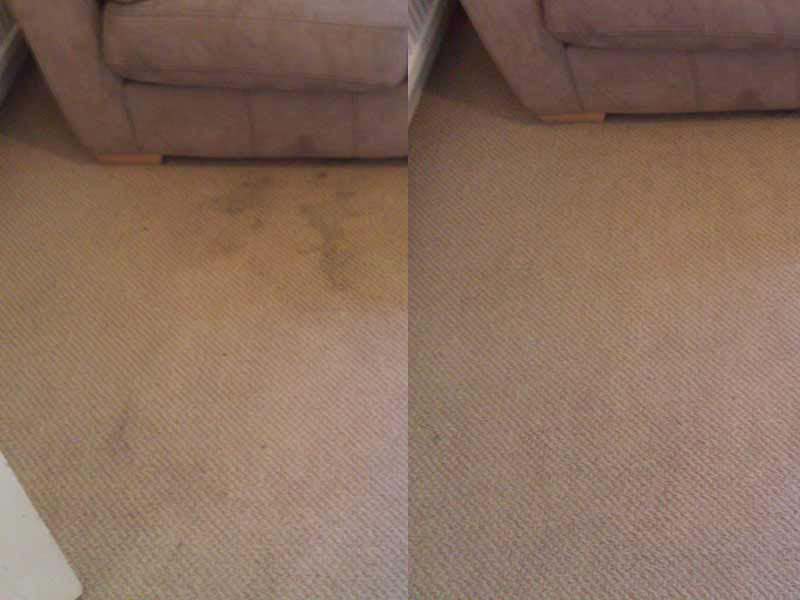 Professional Carpet Cleaning, Cardiff , Newport ,bridgend carpet